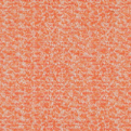 LUNA SCAMPI